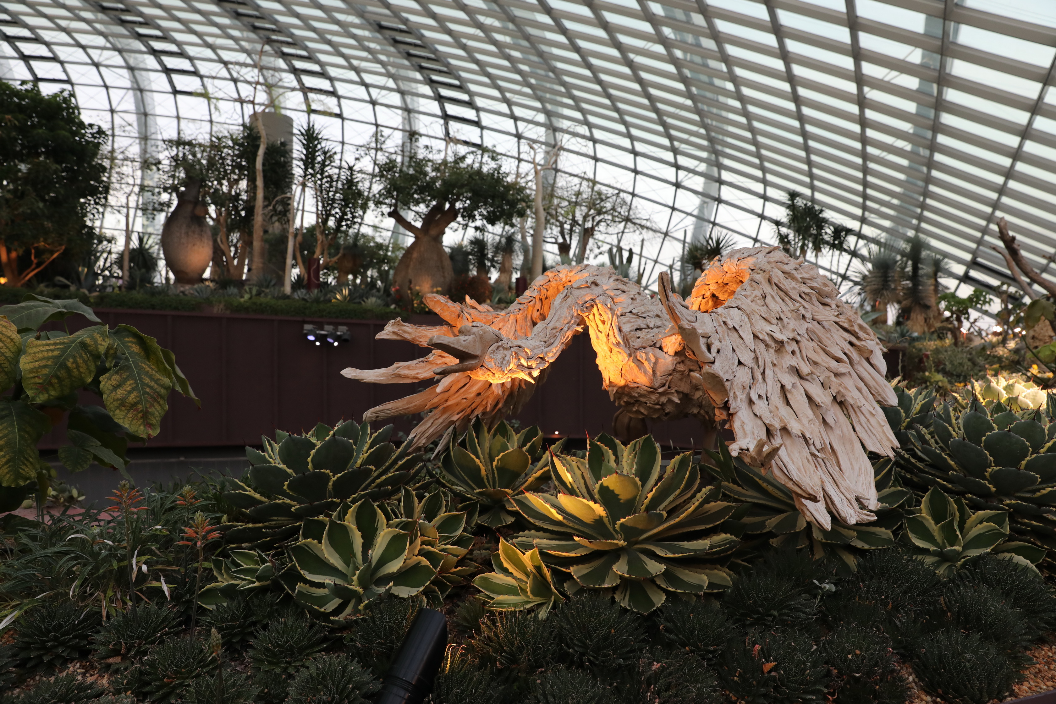 2020 02 03 19 10 33 Canon EOS 5D Mark IV 0075